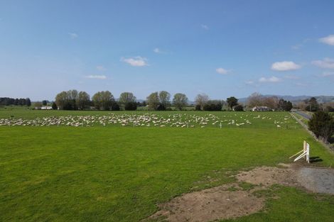 Photo of property in 117 Chamberlain Road, Te Awamutu, Cambridge, 3879