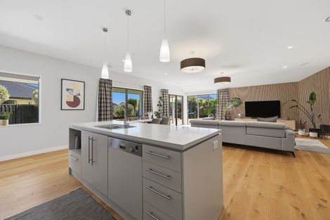 Photo of property in 8 Silver Springs Boulevard, Mosgiel, 9024
