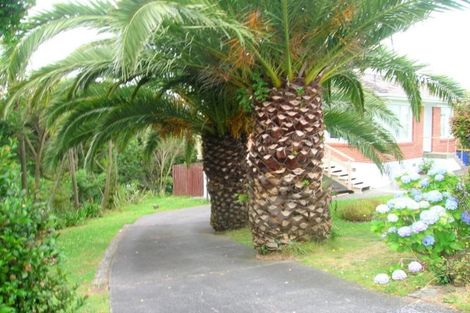 Photo of property in 1/22 Coronation Road, Hillcrest, Auckland, 0627