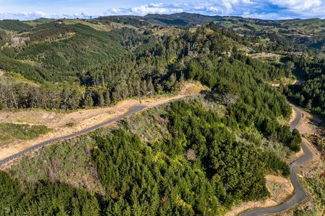 Photo of property in 225 Rocky Cutting Road, Waitao, Tauranga, 3175