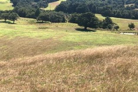 Photo of property in 2100 Paparoa Valley Road, Paparoa, 0571