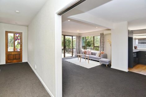 Photo of property in 42 Hope Street, Shirley, Christchurch, 8013