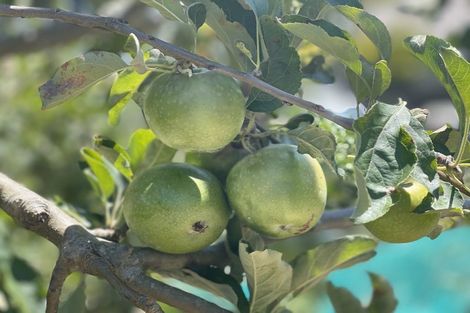 Photo of property in 94 Hibiscus Coast Highway, Red Beach, 0932