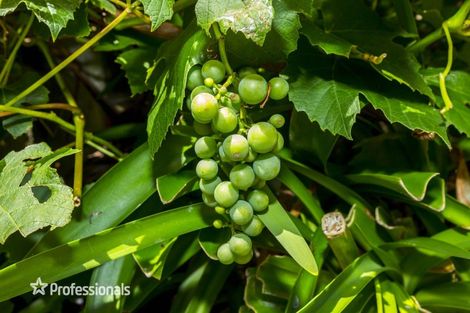 Photo of property in 8 Carlow Grove, Birchville, Upper Hutt, 5018