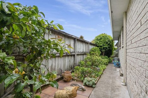 Photo of property in 7a Laing Place, Otumoetai, Tauranga, 3110