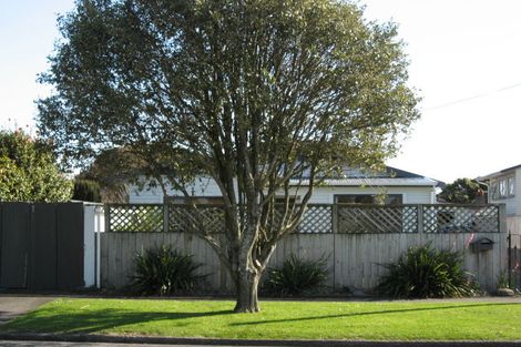 Photo of property in 38 Newton Street, Fitzroy, New Plymouth, 4312
