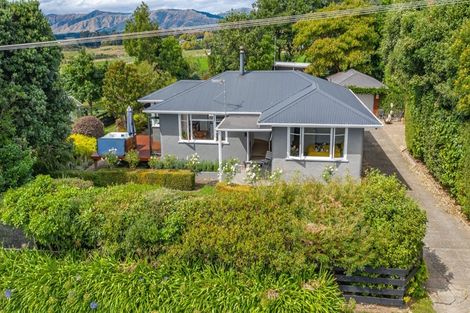 Photo of property in 51 Laward Road, Shannon, Palmerston North, 4474