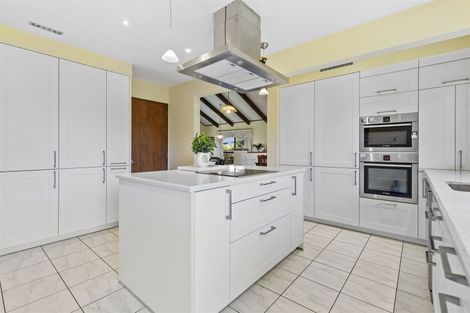 Photo of property in 12 Stirling Drive, Morrinsville, 3300