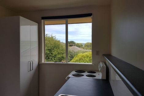 Photo of property in 55 Olliviers Road, Phillipstown, Christchurch, 8011