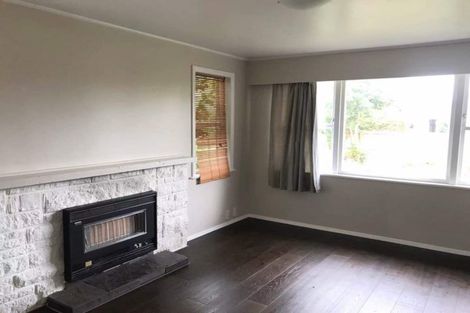 Photo of property in 57 Ascot Road, Chartwell, Hamilton, 3210