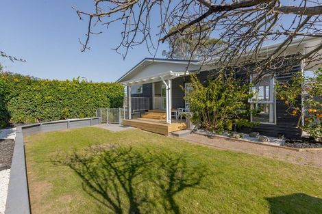 Photo of property in 91 Links Avenue, Mount Maunganui, 3116