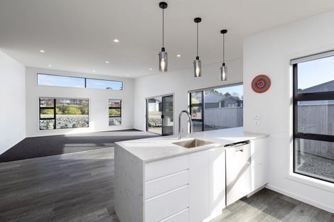 Photo of property in 16 Sabine Drive, Richmond, 7020