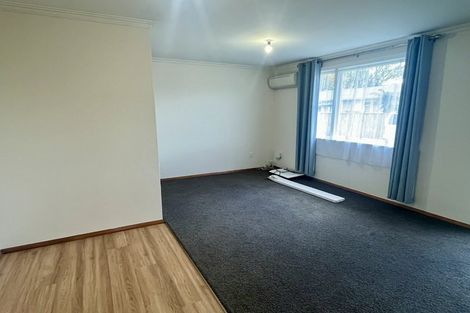 Photo of property in 117 Victoria Avenue, Hokowhitu, Palmerston North, 4410