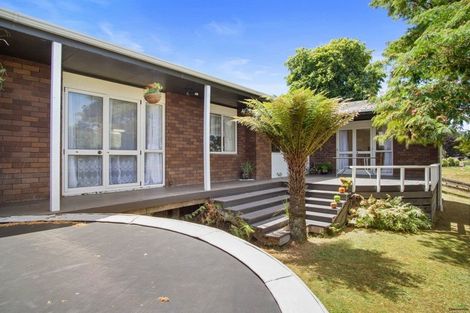 Photo of property in 4 Hillcrest Street, Tirau, 3410