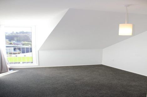 Photo of property in 20/25 Alva Street, Dunedin Central, Dunedin, 9016