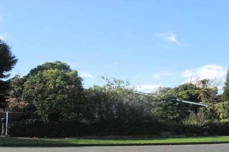 Photo of property in 33 Macarthur Street, Levin, 5510