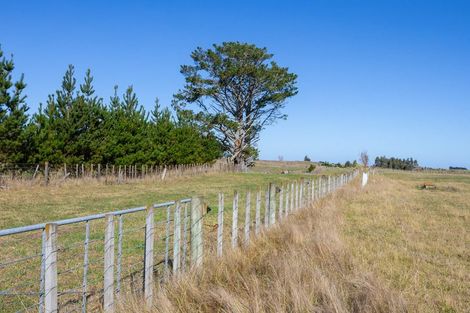 Photo of property in 177 Downs Road, Geraldine Downs, Geraldine, 7991