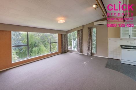 Photo of property in 524 South Road, Calton Hill, Dunedin, 9012