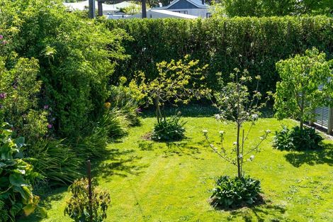 Photo of property in 29 Lucas Street, Riversdale, Blenheim, 7201