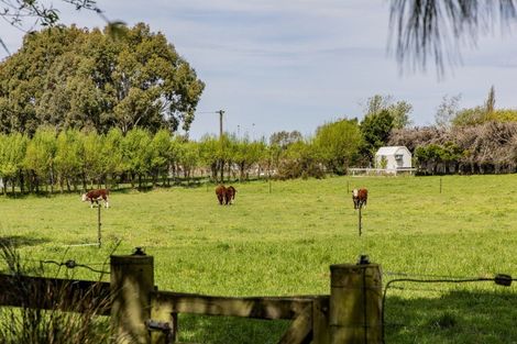 Photo of property in 30 Boundary Road, Ashley, Rangiora, 7477