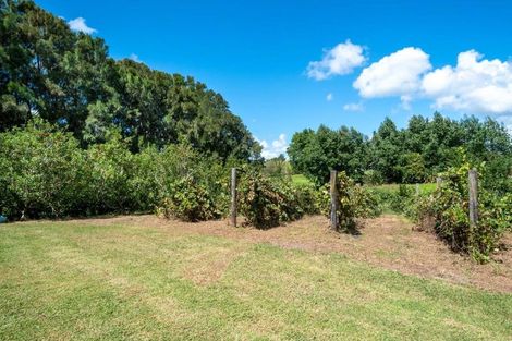 Photo of property in 1295 Coatesville-riverhead Highway, Kumeu, 0892