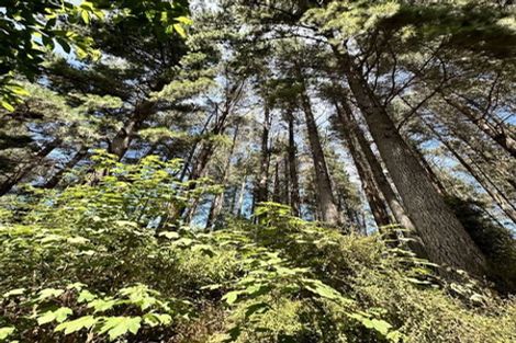 Photo of property in 13 Okuti Valley Road, Little River, 7591