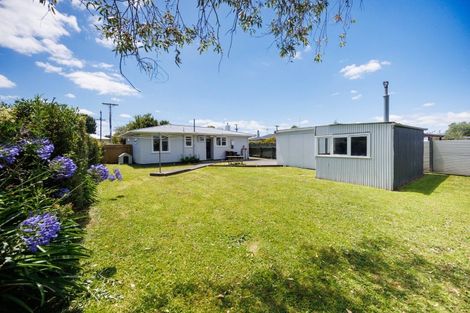 Photo of property in 58 Port Street West, Feilding, 4702