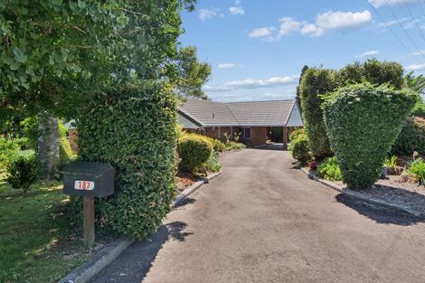 Photo of property in 187 Tanners Point Road, Tanners Point, Katikati, 3177