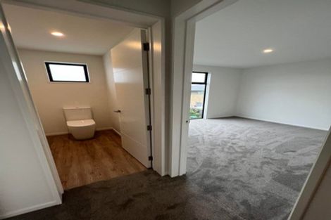 Photo of property in 43 Canon Street, St Albans, Christchurch, 8014