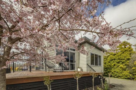 Photo of property in 132a Miro Street, Ohakune, 4625