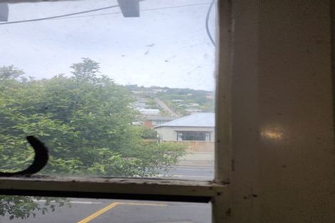 Photo of property in 309 North Road, North East Valley, Dunedin, 9010