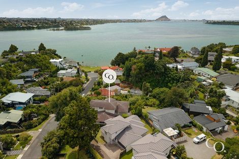 Photo of property in 214 Maungatapu Road, Maungatapu, Tauranga, 3112
