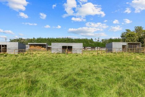 Photo of property in 146 Chatmos Road, Willowby, Ashburton, 7773