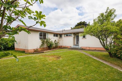 Photo of property in 6 Eton Place, Terrace End, Palmerston North, 4410