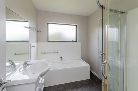 Photo of property in 97 Mcdonald Road, Levin, 5571