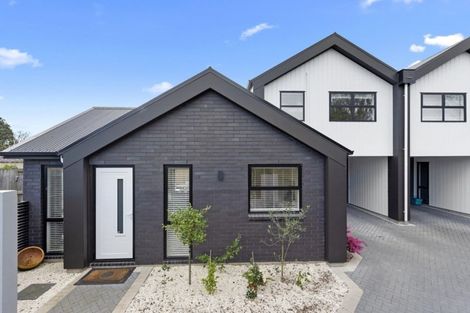 Photo of property in 1/13 Clarkin Road, Chartwell, Hamilton, 3210