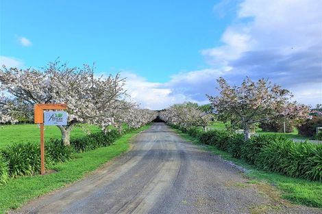 Photo of property in 105a Mclean Road, Awakeri, Whakatane, 3193