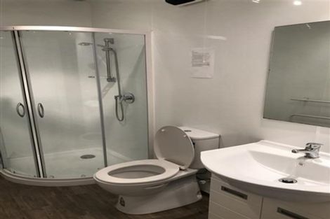 Photo of property in 58 Royal Terrace, Dunedin Central, Dunedin, 9016