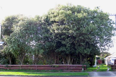 Photo of property in 35 Macarthur Street, Levin, 5510