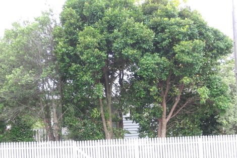 Photo of property in 114 Richardson Road, Mount Albert, Auckland, 1025