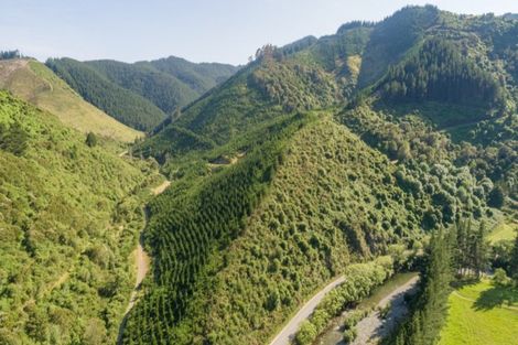 Photo of property in 641 Aniseed Valley Road, Aniseed Valley, Richmond, 7081