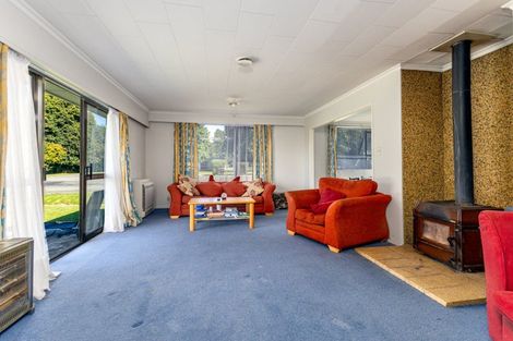 Photo of property in 82 Hoods Road, Mount Somers, Ashburton, 7771