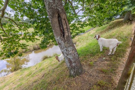 Photo of property in 26 Waotu Road South, Waotu, Putaruru, 3481