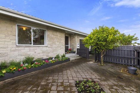 Photo of property in 13b Malfroy Road, Victoria, Rotorua, 3010