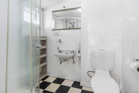 Photo of property in 115 Wallace Street, Mount Cook, Wellington, 6021