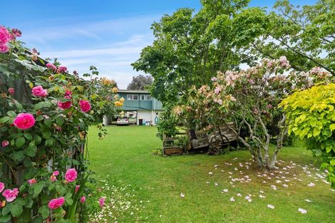 Photo of property in 62 Burwood Road, Matamata, 3400