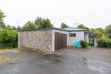 Photo of property in 60 Mansel Avenue, Hillcrest, Hamilton, 3216