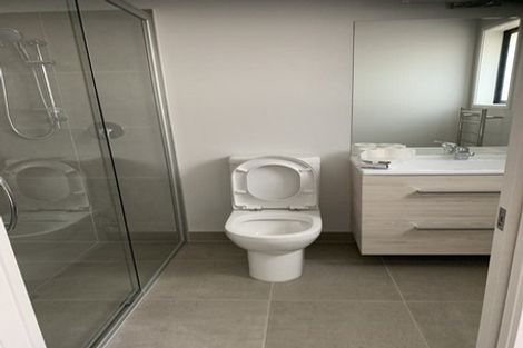 Photo of property in 24 Peacock Place, Pokeno, 2402