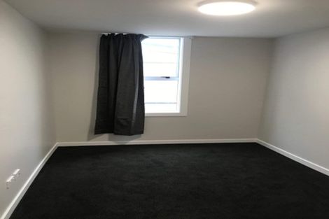 Photo of property in 275 Castle Street, Dunedin Central, Dunedin, 9016