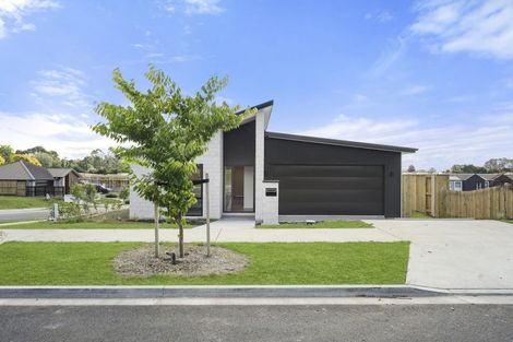 Photo of property in 14 Celeste Terrace, Peacocke, 3206